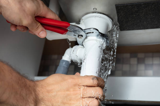 Best Ceiling water damage repair  in Edneyville, NC