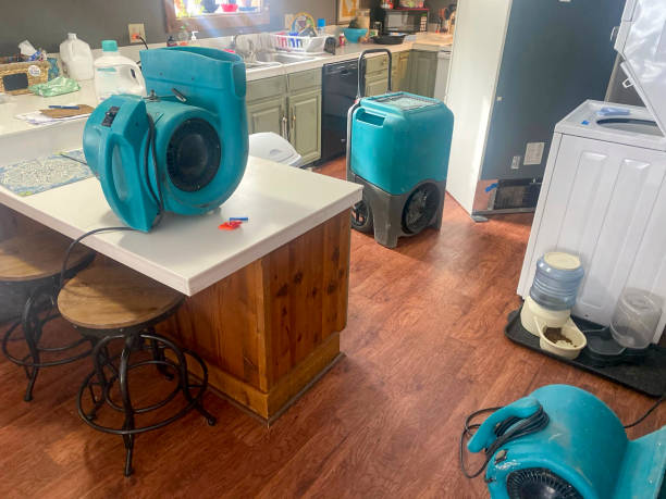 Best Basement water damage restoration  in Edneyville, NC