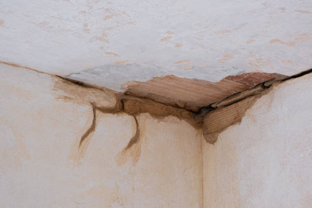 Best Ceiling water damage repair  in Edneyville, NC