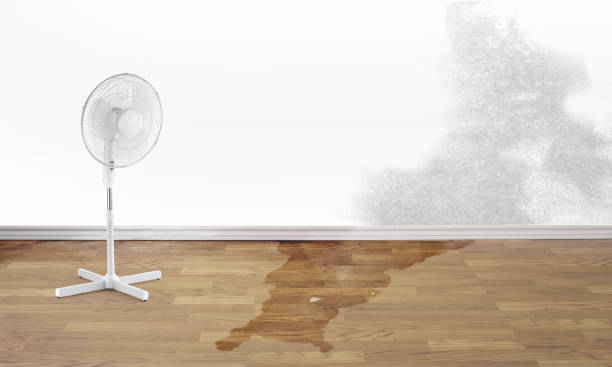 Water damage restoration insurance claims in Edneyville, NC