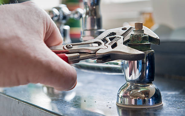 Best Water damage restoration company  in Edneyville, NC
