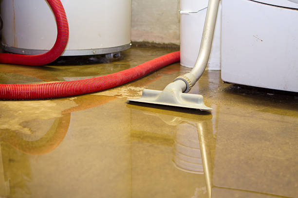 Best Flood restoration services  in Edneyville, NC
