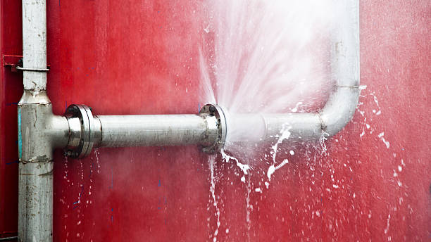 Best Commercial water damage restoration  in Edneyville, NC