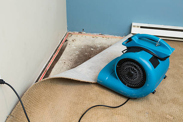 Best Sewage cleanup and water damage restoration  in Edneyville, NC